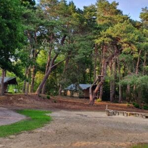 Camping Het Horstmannsbos in YES true - rentatentnederland.nl