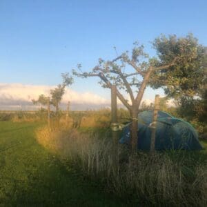 Camping Johanna's Bos in jong voedselbos midden in het polderlandschap. Anna Paulowna