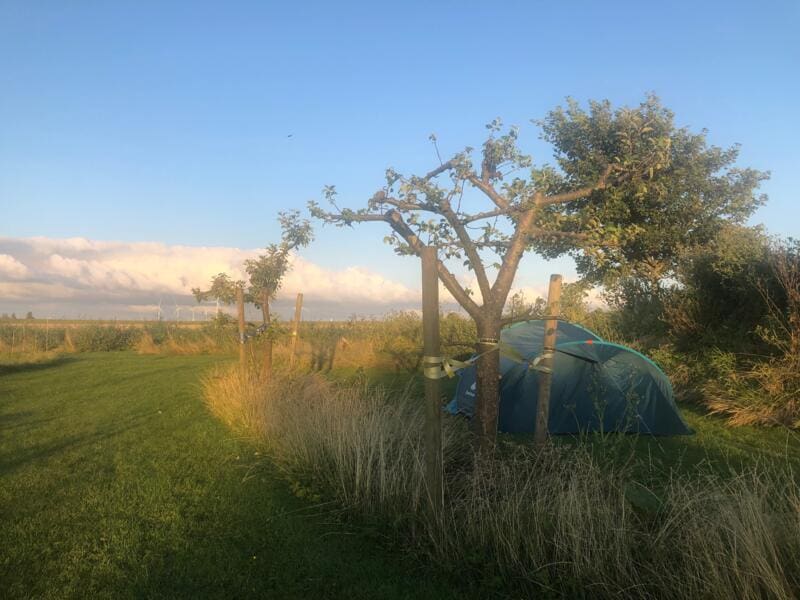 Camping Johanna’s Bos in jong voedselbos midden in het polderlandschap. Anna Paulowna, Nederland