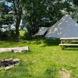 Ecologische boerderij met Friese paarden