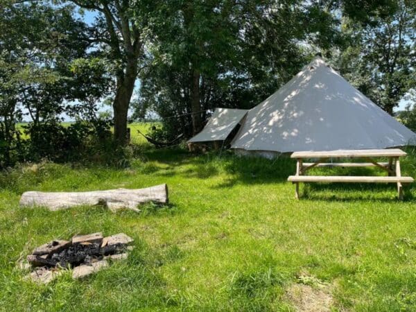 Ecologische boerderij met Friese paarden