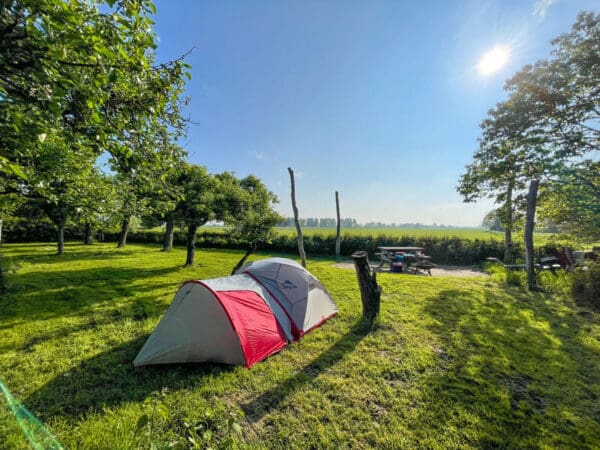 Heerlijke rustige boomgaard tussen weilanden