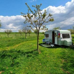 Mooi plekje in de boomgaard aan de dijk. angeren