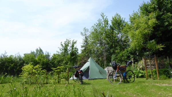 Mooie tuin in het land van Maas en Waal. Alphen Gelderland