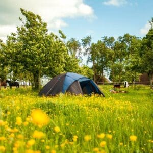 Natuurboerderij met lieve dieren en prachtige boomgaard. Hem