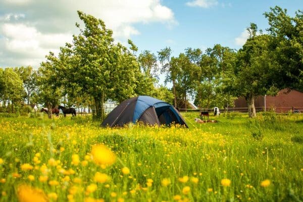 Natuurboerderij met lieve dieren en prachtige boomgaard. Hem