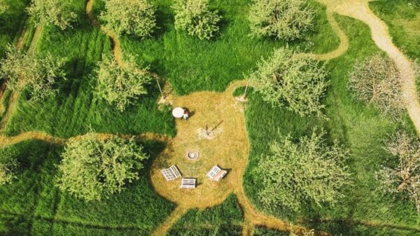 Ontdek een Verborgen Natuurparadijs in de Achterhoek. Toldijk