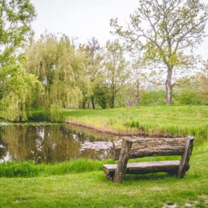 Overnachting in beschutte tuin