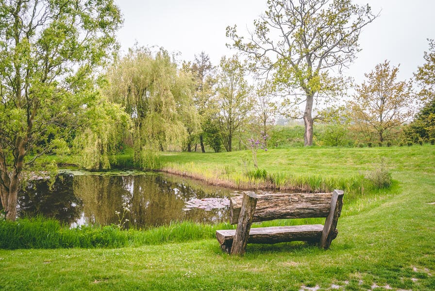 Overnachting in beschutte tuin, vlakbij de vijver. Op doodlopende weg.. Wijnjewoude, Nederland