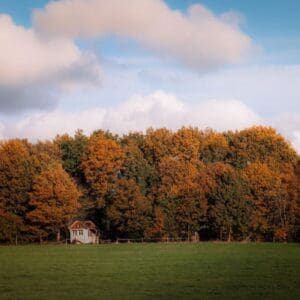 Pioniershuisje: uniek Tiny House vrij gelegen bij boomgaard. Frederiksoord