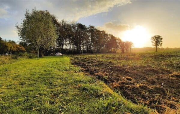 Plek voor een paar trekkerstentjes nabij natuurgebied. Barchem