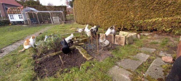 Puur plekje in midden van dorp elahuizen. Elahuizen