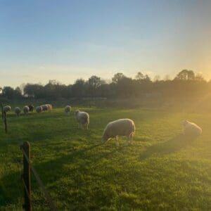 Retraite plek op onze boerderij. Aarle-Rixtel