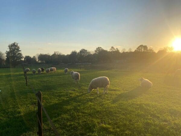 Retraite plek op onze boerderij. Aarle-Rixtel