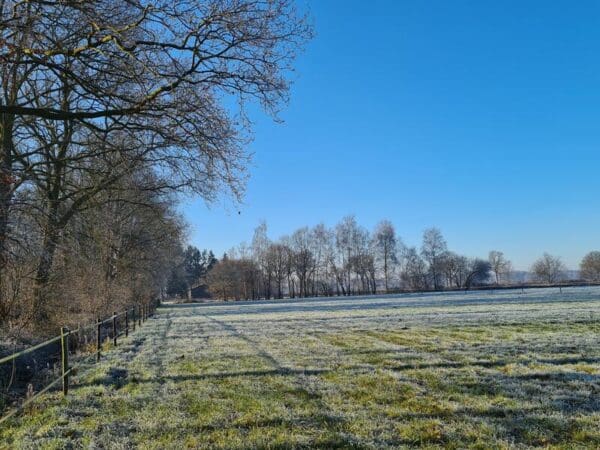 Romantisch “back to basic” kamperen nabij Landgoed de Groote Scheere. Anerveen