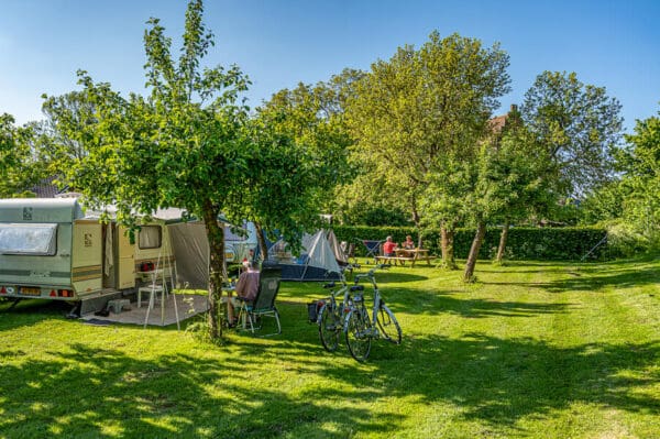 Tuinkamperen nabij de Maas. Megen