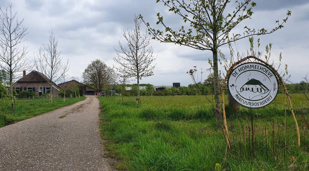 Kamperen op de boerderij, in harmonie met de natuurCampspace in Empe, Gelderland. Empe, Nederland