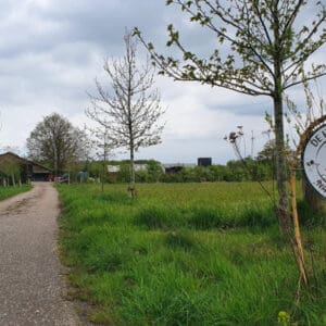 Kamperen op de boerderij