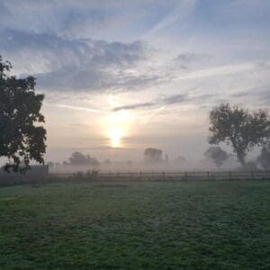 Ruime weide met kampvuurplaats: camperplaats in Limburg. Sevenum