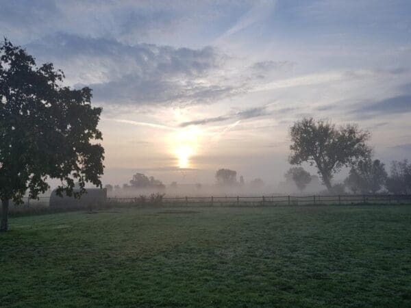 Ruime weide met kampvuurplaats: camperplaats in Limburg. Sevenum