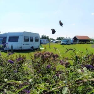 Natuurlijk de Veenhoop in NO true - rentatentnederland.nl